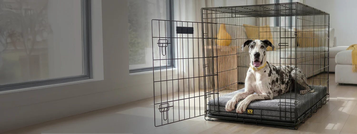 Indestructible Comfort for Every Dog